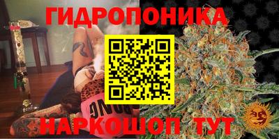таблы Лесосибирск