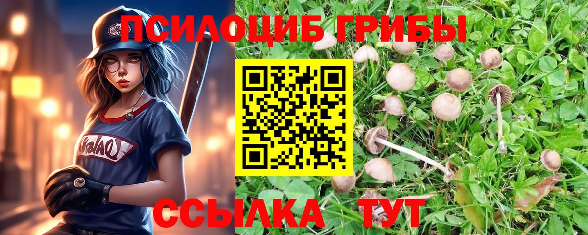 Галлюциногенные грибы мухоморы Знаменск