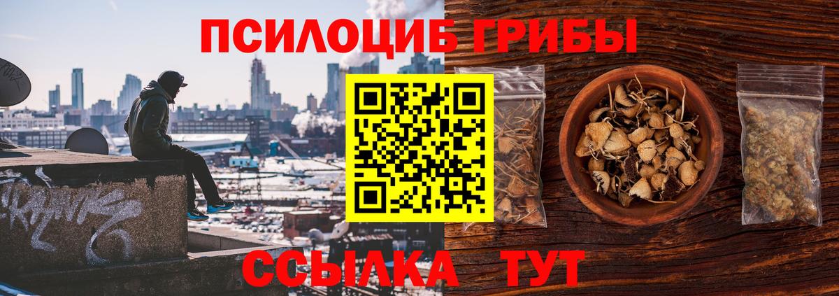 Галлюциногенные грибы Cubensis  Вход с VPN  Знаменск 